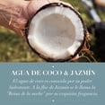 thumbnail image 4 of Herbal Essences Hidrata Agua de Coco & Jazmín Acondicionador 600 ml, 4 of 5