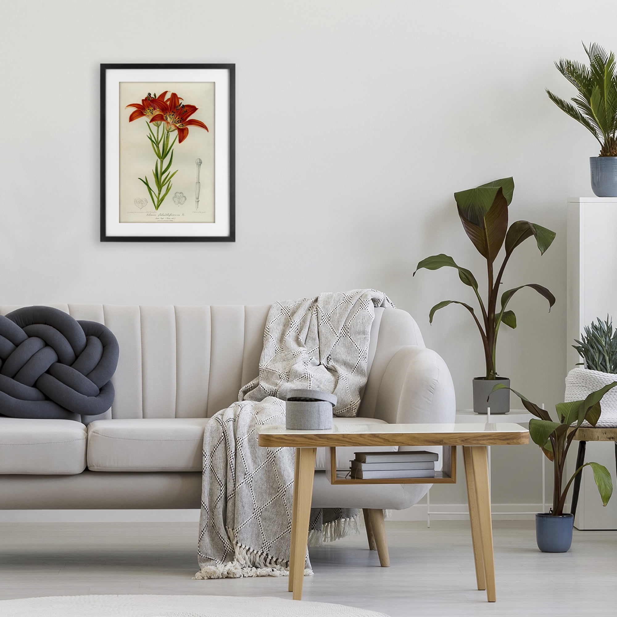 Stupell Industries Western Red Lily Black Framed Print Under Glass, design by Print Collection
