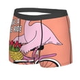 thumbnail image 2 of Daiia Flamingo Riding a Bicycle Men's Underwear Boxer Briefs, Cotton Stretch Moisture-Wicking Underwear-XX-Large, 2 of 9