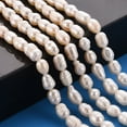thumbnail image 5 of Natural Cultured Freshwater Pearl Beads Strands Rice Seashell Color 7~9x6~7mm Hole: 0.5mm 22~23pcs/strand 7.09''(18cm), 5 of 6