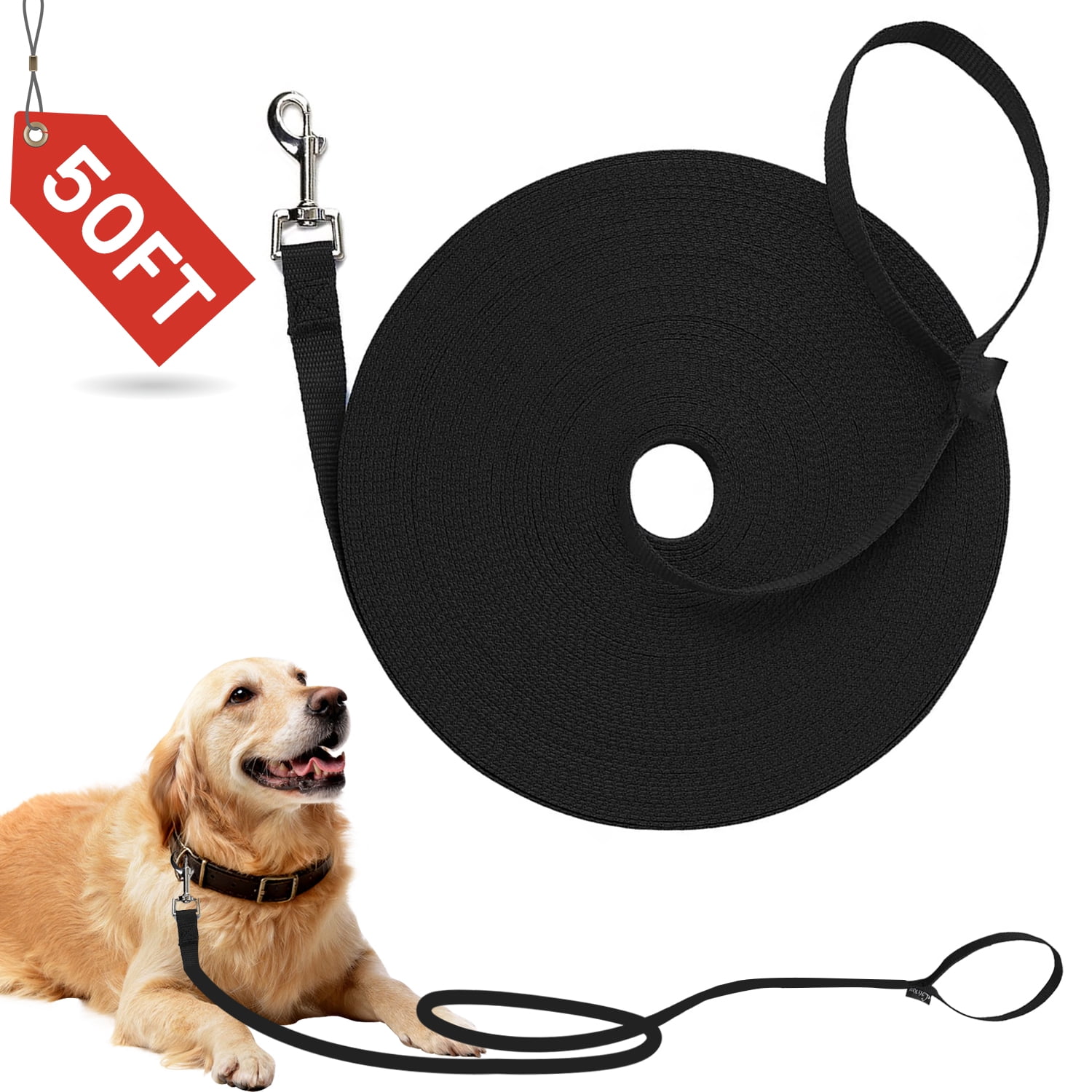 Sherry Dog/Puppy Obedience Recall Training Agility Lead - 50ft Dog Leash for Small Dog, Strong Traditional Style Training Dog Leash for Play, Camping, or Backyard, Black