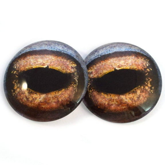 Brown Toad Frog Glass Eyes