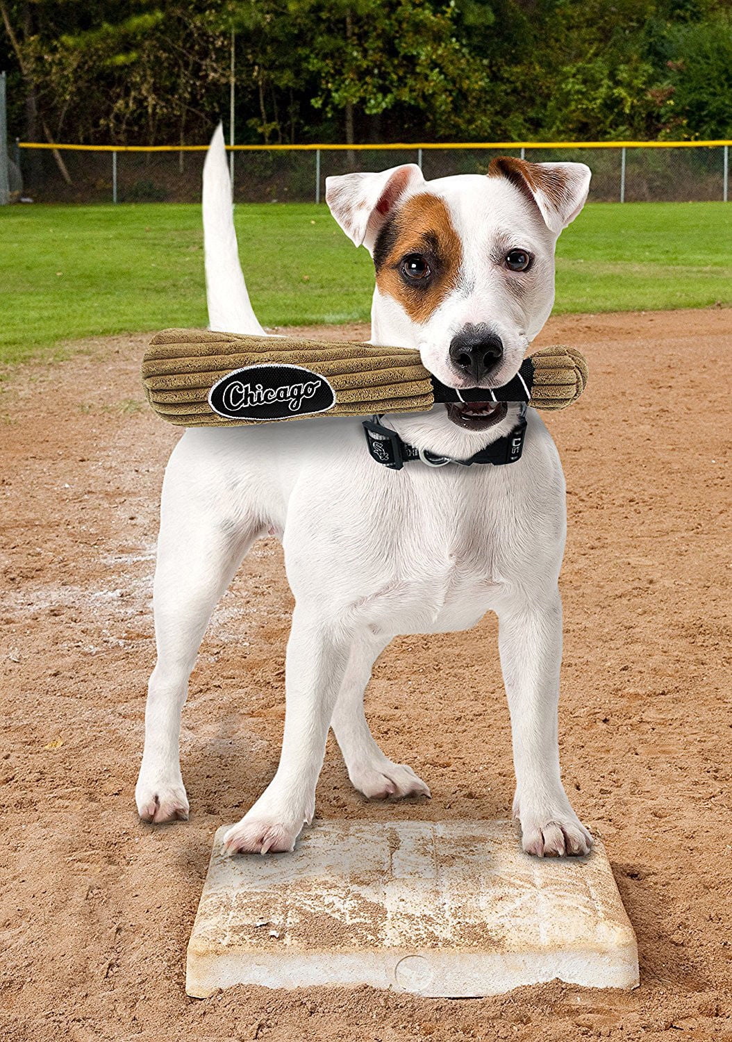 Pets First MLB Chicago White Sox BAT TOY for DOGS & CATS. 29 MLB Teams available. - Plush PET TOY with inner SQUEAKER. Officially Licensed Baseball BAT.