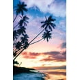 thumbnail image 2 of Delimont, Danita 17x24 Gold Ornate Wood Framed with Double Matting Museum Art Print Titled - Molokai Palms At, 2 of 4