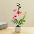 thumbnail image 3 of Fake flower double fork simulation spotted pattern phalaenopsis bonsai decoration artificial plant potted green plant, 3 of 5