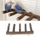 thumbnail image 5 of Escalera De Madera De Manzana Para Escalar Loros, Soportes Saludables Para Perchas Para Pájaros Con Múltiples ángulos, Adecuado Para Loros Pequeños Y Medianos, Juguete Para, 5 of 7