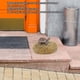 thumbnail image 4 of Rock Key Hider, Acceso Conveniente Caja de Almacenamiento de Llave de Piedra Decorativa Vigilante Múltiple Colocación para Patio, 4 of 7
