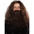 thumbnail image 1 of Conjunto de peluca y barba Costume ALLAURA Brown Wizard para hombre, 1 of 7