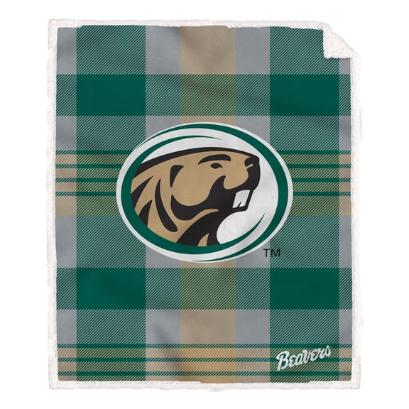 Pegasus Bemidji State Beavers 60- x 70- Plaid Steel Ultra Cozy Sherpa Blanket