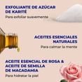 thumbnail image 3 of Exfoliante corporal Dr. Teal's Sugar Scrub manteca de karite y rosas 538 g, 3 of 4