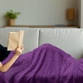 thumbnail image 3 of Plum Soft Flannel Fleece Blanket, Monotone Demonstration of Repetitive Ripe Fruits Natural Organic Botany Foods, Cozy Plush for Indoor and Outdoor Use, 50" x 60", Purple and Violet, by Ambesonne, 3 of 5