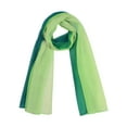 thumbnail image 1 of INSPIRE CHIC Women's Scarf Chiffon Silky Gradient Color Lightweight Long Wrap Shawl Dark Light Green, 1 of 8
