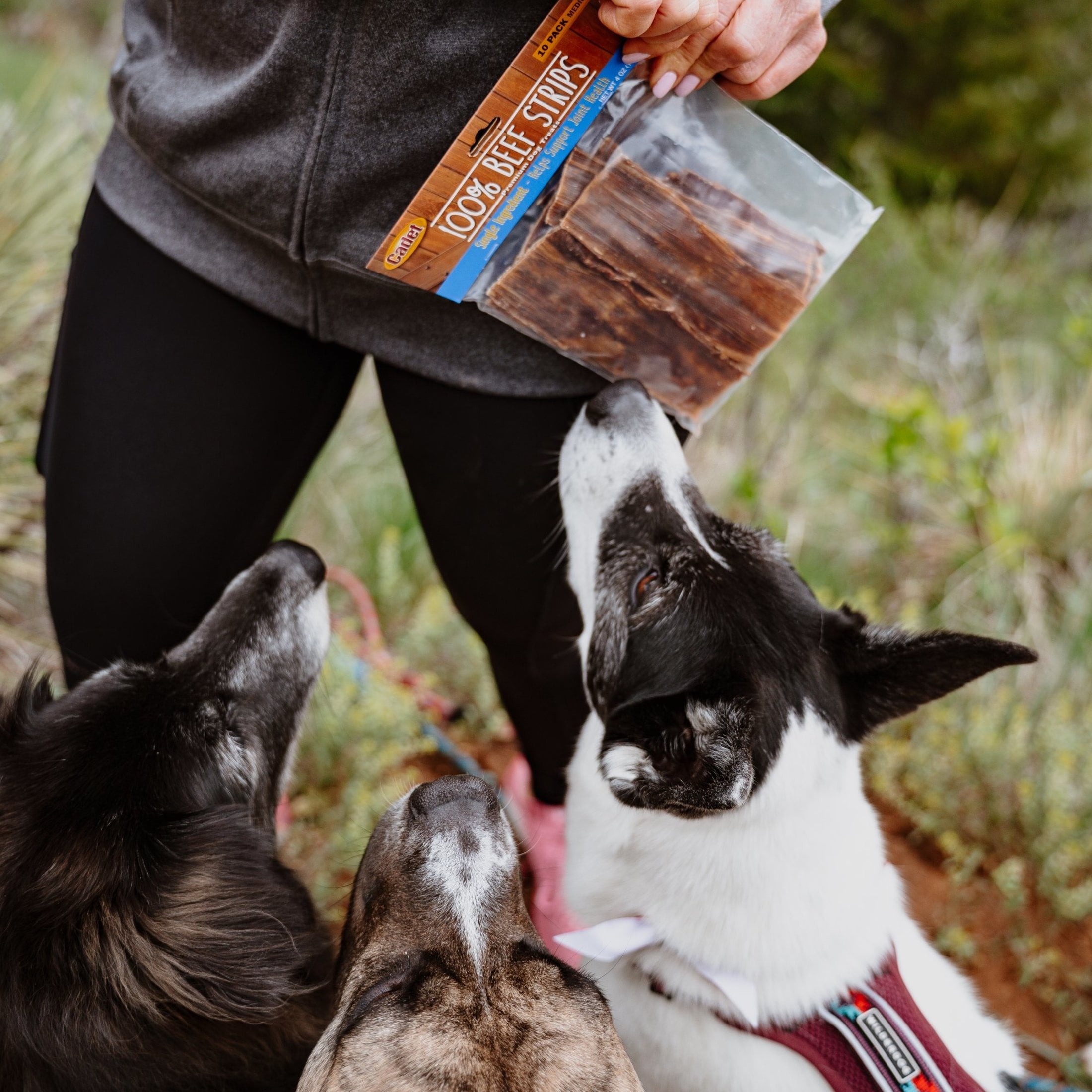 Cadet 100% Beef Stick Dog Treats, Natural Dog Bones for Small & Large Dogs, 12 Ounce