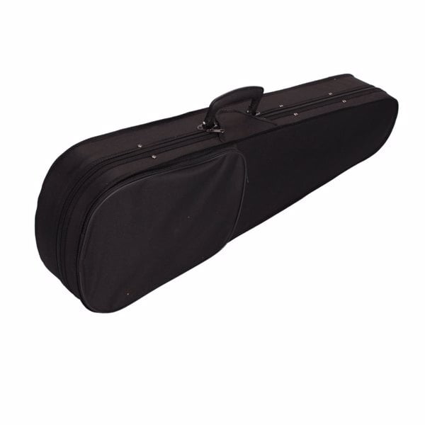 Alvantor 4/4 Full Size Acoustic Violin Set with Case, Bow, Rosin & Accessories