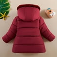 thumbnail image 4 of TEDOYE Toddler Girls Winter Coats Hooded Warm Down Jacket Stylish Winter Coats For Girls Birthday Wear, 3-4 Years, 4 of 5