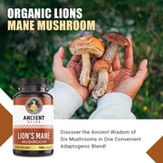 Ancient Bliss Lion's Mane Supplement - 120 Mushroom Capsules- Mental Clarity, Wellness, Energy & Focus- Memory & Immune Support Supplement.