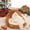 C, variant on Christmas Cat Bed for Indoor Cats House,Red Reindeer Pet Bed Semi Enclosed Removable and Washable Dog Bed Winter Warm Cat Beds House for Kittens and Small Animals,Warm Cat Cave Beds for Christmas