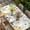 Beige, variant on Easter Gnomes Table Cloths for 5 Foot Rectangle Tables, Spring Watercolor Eggs Flower Wood Grain Patio Waterproof Elastic Fitted Tablecloths, Washable Rectangular Table Cover for Camping