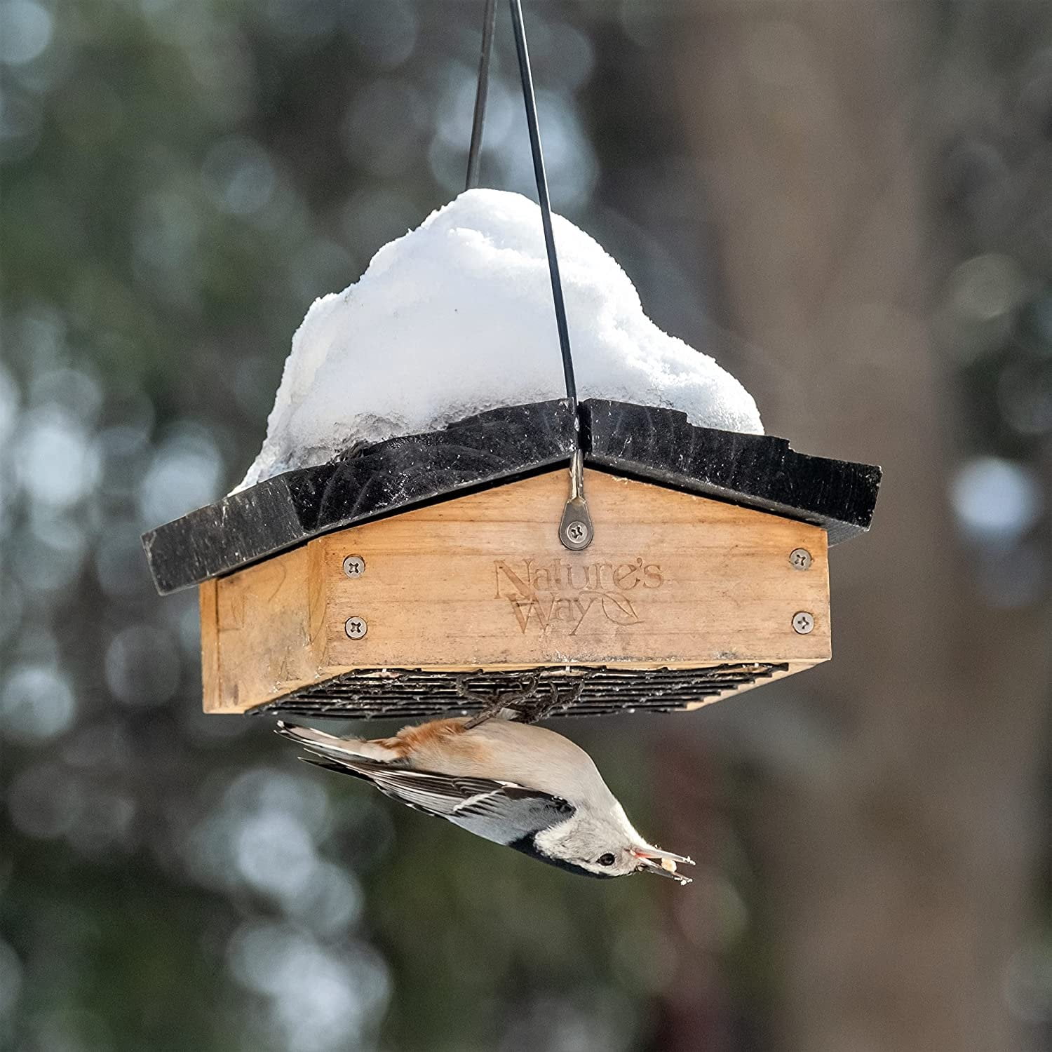 Nature's Way Bird Products Cedar Upside-Down 1-Cake Multi-Bird Suet Feeder, 1 lb Capacity