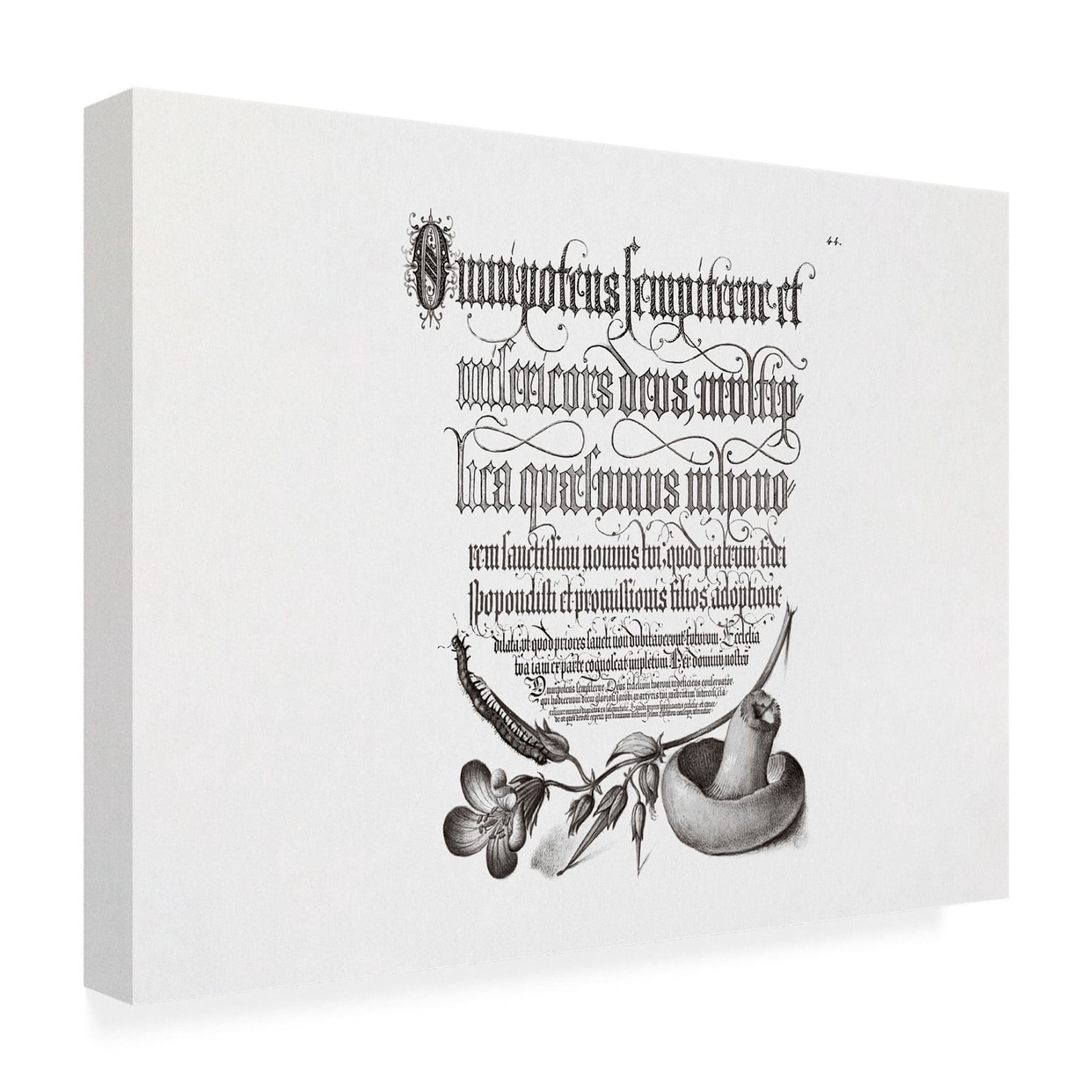 Trademark Fine Art Pictufy Centipede, Wood Cranesbil Canvas Wall Art