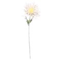 thumbnail image 1 of Ramo de crisantemo artificial simulación floral decoración hogar ramo de flores falsas adorno de boda, blanco Scienceny HA7517-01B, 1 of 6