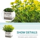 thumbnail image 3 of Topiarios, plantas y flores artificiales, mini plantas, maceta., 3 of 6