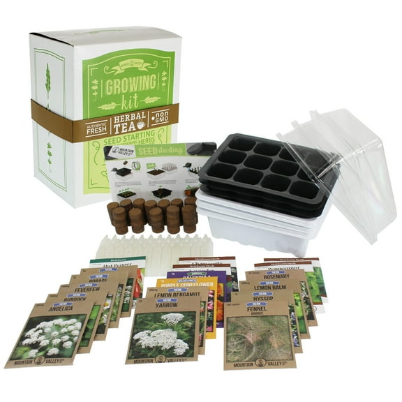 Indoor Medicinal & Herbal Tea Herb Garden Starter - Premium Kit - 18 Non-GMO Varieties - Seeds: Angelica, Borage, Peppermint, Lemon Mint, Burdock, Anise, Cayenne, More
