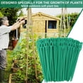 thumbnail image 4 of 100 Piezas de Bridas Ajustables para Plantas de JardíN, Bridas de JardíN Reutilizables, Bridas de JardineríA, Bridas Reutilizables para Plantas de JardíN, 4 of 5