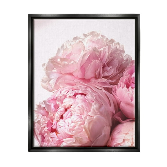 Stupell Industries Blush Pink Peonies Florals Blooming over White Jet Black Framed Floating Canvas Wall Art, 16x20, by Ziwei Li