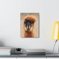 thumbnail image 3 of Funny Alpaca Selfie Outside Wall Art Ready to Hang Unframed, 3 of 18