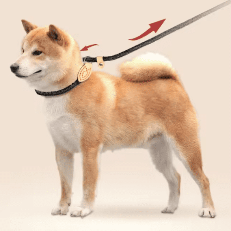 Adjustable Collar Harness Dog Leash Nylon Pet Lead Leash Dog Harness Durable Rope Belt Lightweight Dog Accessories Cat Collar