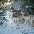 thumbnail image 2 of Cobble Hill 80071 1000 pc Wolf Trail Puzzle, 2 of 2