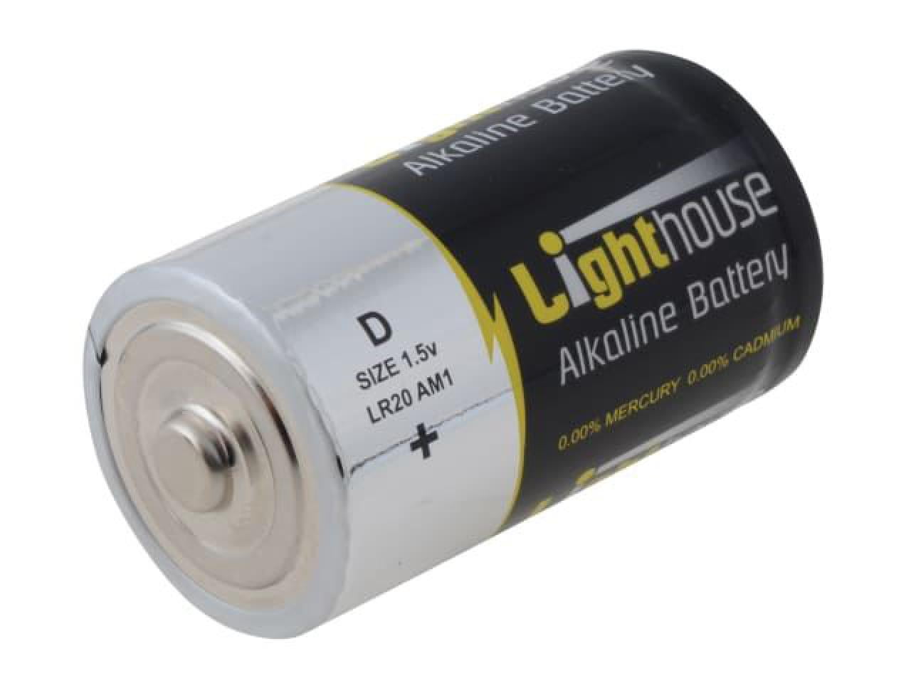 Alkaline D-cell battery, 2-pack (EG-BA-LR20-01)