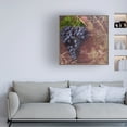 thumbnail image 3 of Cora Niele 'Blue Vines Black Muscat' Canvas Art, 3 of 3