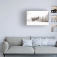 thumbnail image 3 of Aledanda 'First Snow BW Crop' Canvas Art, 3 of 3