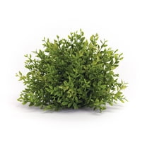 Melrose Set of 6 Half Orbs Mini Leaf Artificial Shrubs 7”