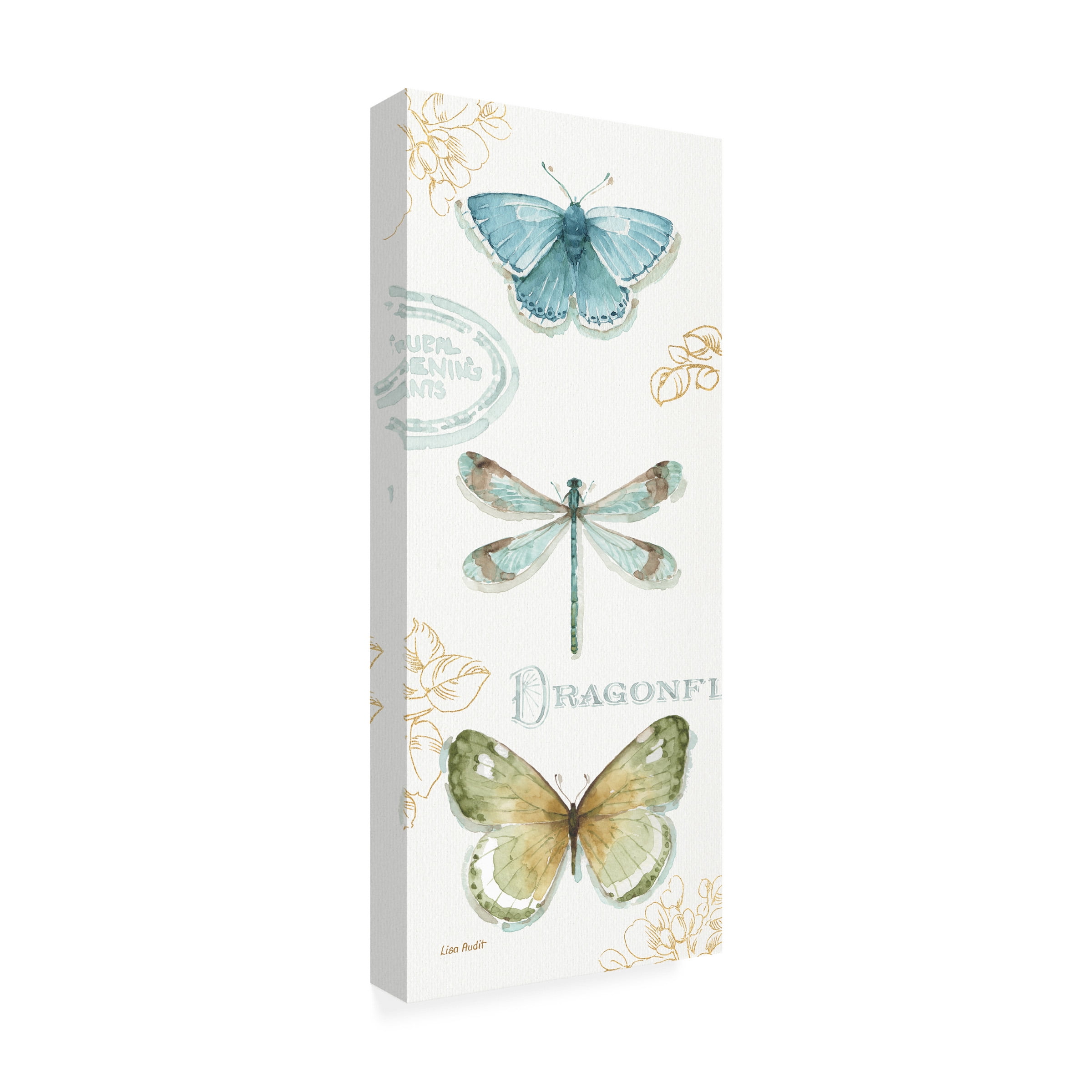 Trademark Fine Art "My Greenhouse Butterflies V" Canvas Art by Lisa Audit