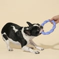 thumbnail image 3 of Oodles 2-Piece Durable Rubber Twisted Ring Dog Toy Variety pack, Purple and Blue, One Size, 3 of 9