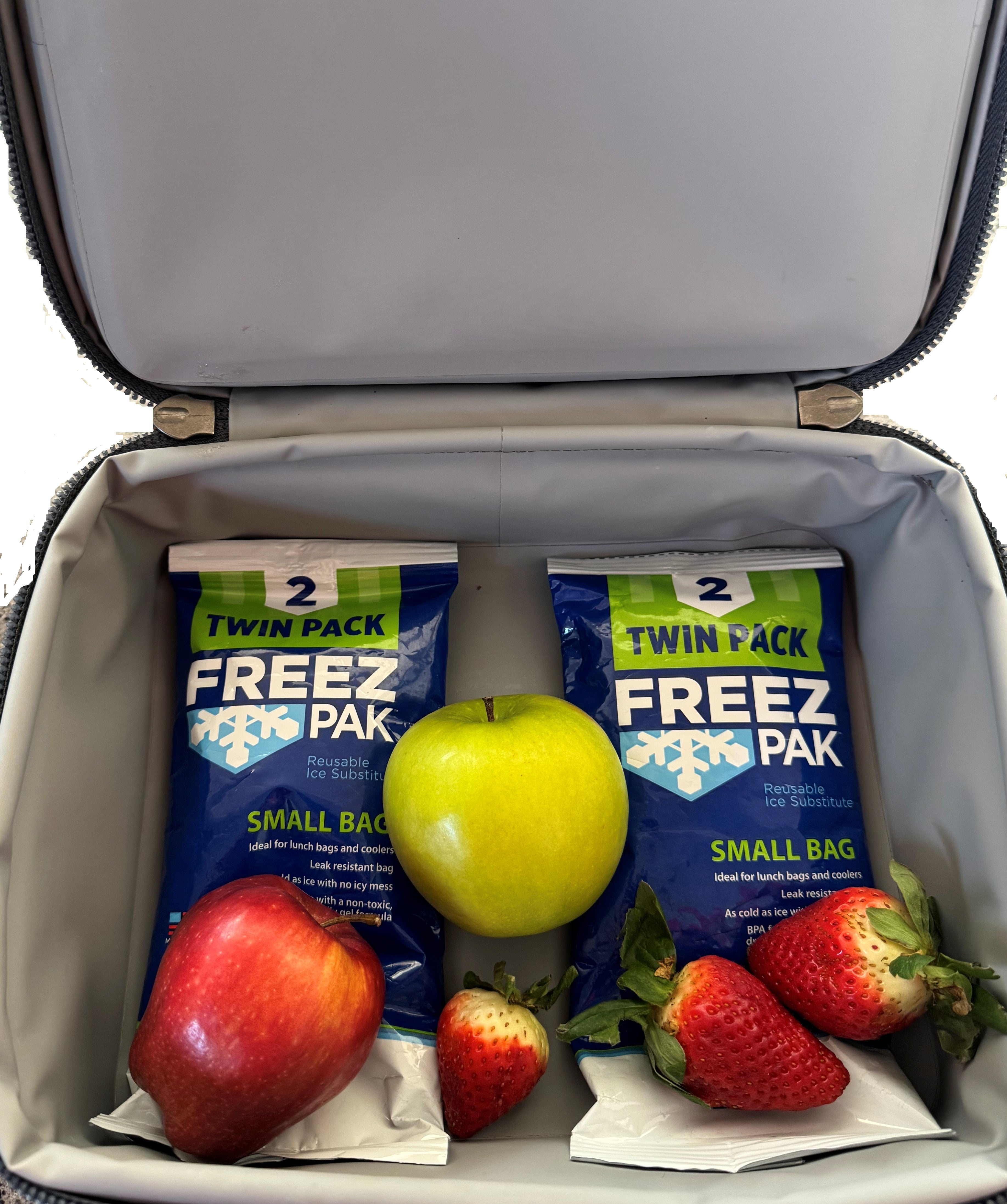 (4 pack) Freez Pak Reusable Ice Substitute, Twin Pack, Small Bag