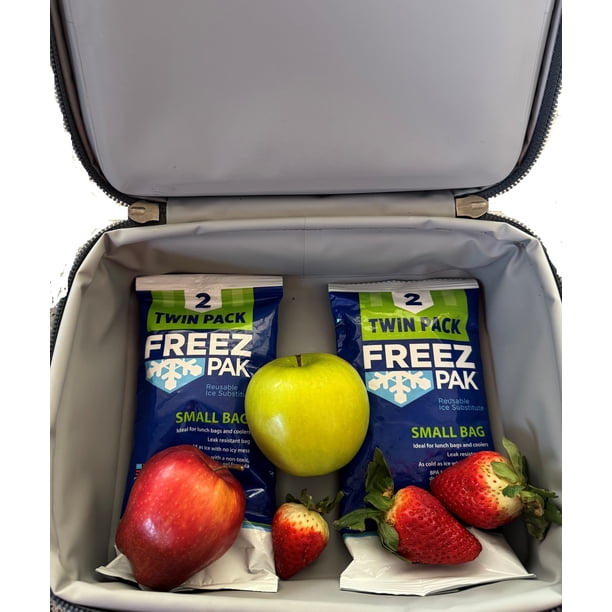 Freez Pak Reusable Ice Substitute, Twin Pack, Small Bag - Walmart