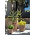 thumbnail image 5 of Veradek Demi Series Bundle - Three Piece Set of Plastic-Stone Planters - Terracotta, 5 of 9