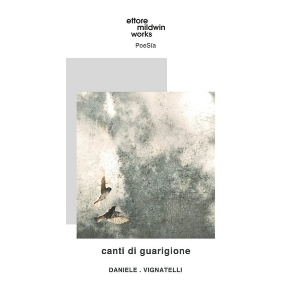 Canti di guarigione (Paperback)