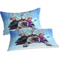 thumbnail image 2 of Duvet Cover Set Frozen D Elsa Pattern Printe Bedding Duvet Cover Set For Kids Children Boys, Soft Microfiber With Closure, 2 of 5