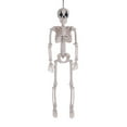 thumbnail image 2 of Diceymbol Halloween Outdoor Decor Skeleton Full Size Outdoor Skeleton Mini Plastic Skeleton Bones Skeleton Figure Decorative Skulls Kitchen Decor Halloween Skeleton Plastic Human Skull Pendant, 2 of 7