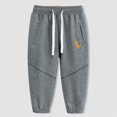 thumbnail image 4 of 18-24 Months Toddler Boys Pants Fleece Lined Thick Straight Leg Elastic Waist Cozy Sweatpants with Side Pockets Fall Winter Casual Wear for Boys 12 18 Months 2T 3T 4T 5T 6T,Dark Gray, 4 of 4