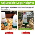 thumbnail image 6 of Chick Feeder and Waterer Set, 0.3 Gal Feeder and 0.4 Gal Waterer with 3 Adjustable Heights, 6 of 6