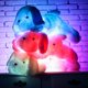 thumbnail image 4 of 1 pieza de juguete de peluche luminoso para perro con cachorro azul, 4 of 5
