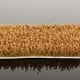 thumbnail image 3 of 16 Strips 1:72-1:87 DIY Field For Railway Artificial Landscape Railroad Scenery Diorama HO Scale, 3 of 9
