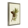 thumbnail image 3 of Stupell Industries Cottage Fir Tree Cones Brown Floating Frame Canvas Art, 21 x 31, by Tina Higgins Designs Inc., 3 of 8