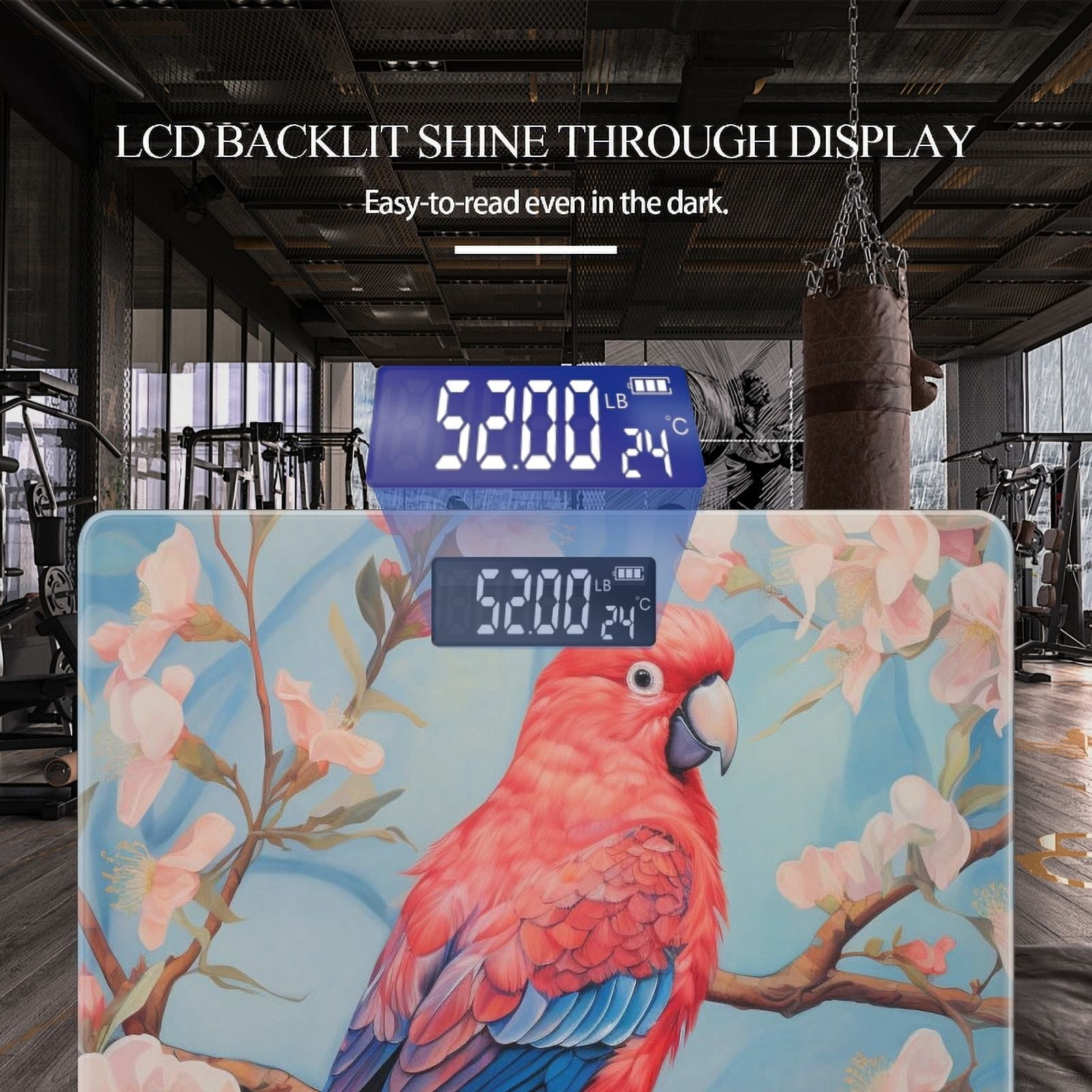 Bathroom Scale, Highly Accurate Digital Body Scale,Precisely Measures Weight up to 400 lbs-Beautiful Oil Painting Of Parrot Sitting On Branch
